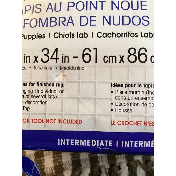 Caron Wonderart Latch Hook Kit 24"X34" Lab Puppies #426166 Vintage New In Box - Picture 12 of 14